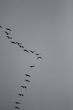 Bild 104 - SSV am 9.10.11